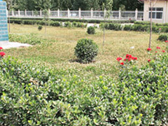 �����Vɽ�S�^(q��)��(ch��ng)��