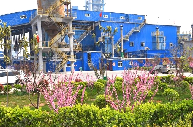 生產(chǎn)線道路兩側(cè)的植物